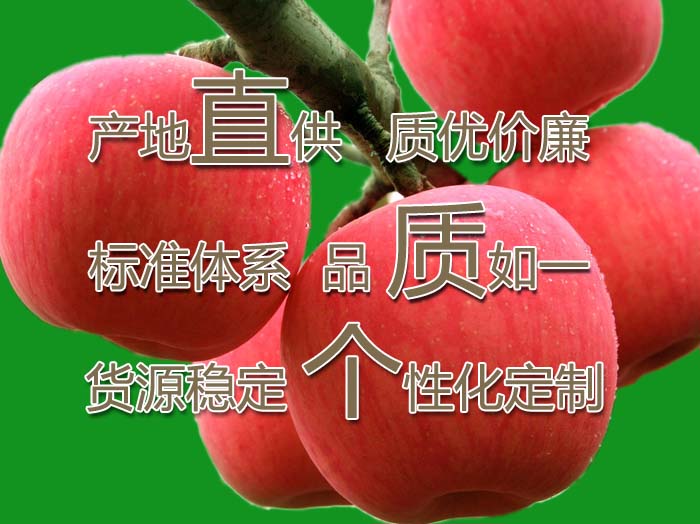 洛川苹果产地直供品质如一