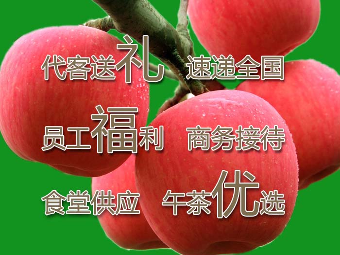 洛川苹果商务礼品